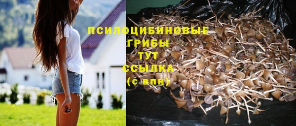 меф Белокуриха