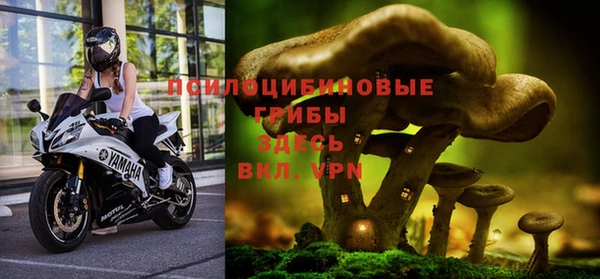 ПСИЛОЦИБИНОВЫЕ ГРИБЫ Балахна