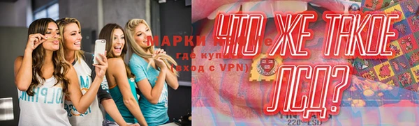 ПСИЛОЦИБИНОВЫЕ ГРИБЫ Балахна